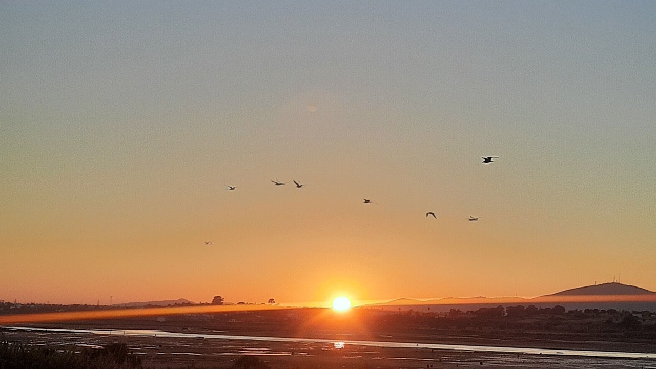 Photo of Others in Olhao