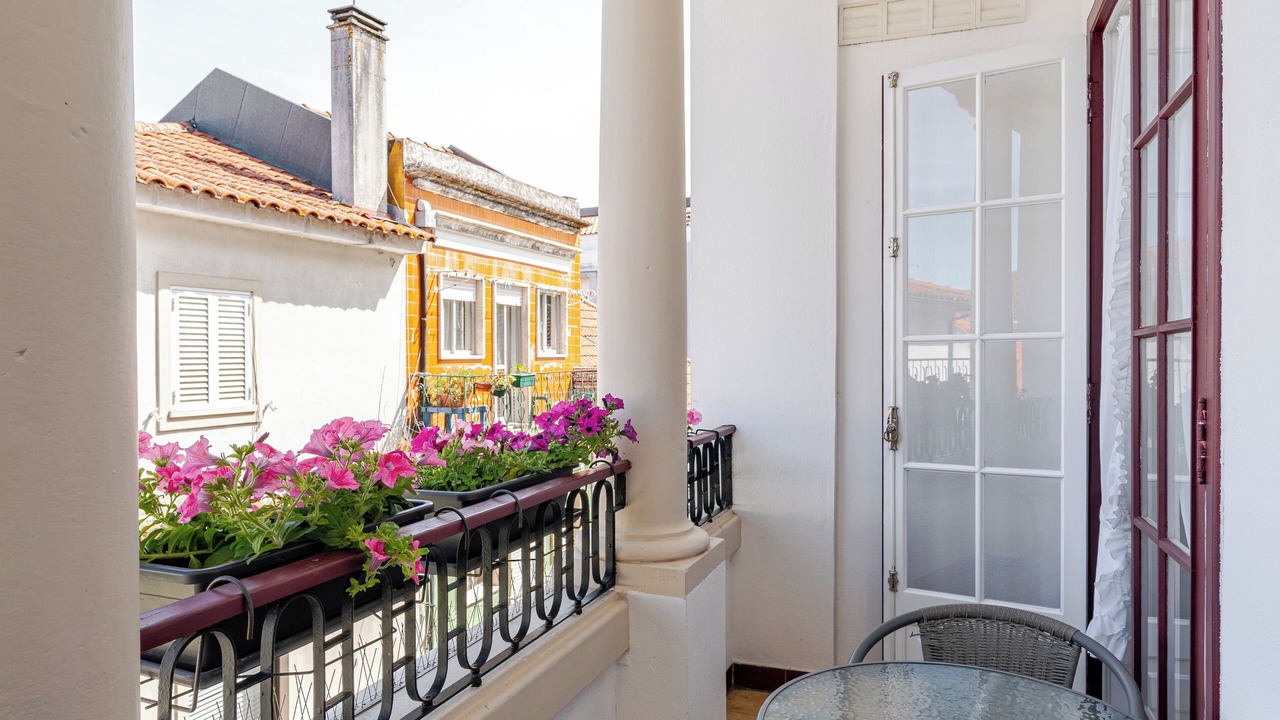 Photo of Outdoor in Pombal
