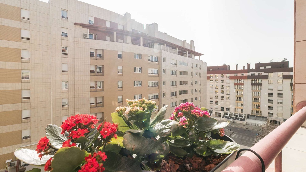 Photo of Patio Balcony in Lumiar