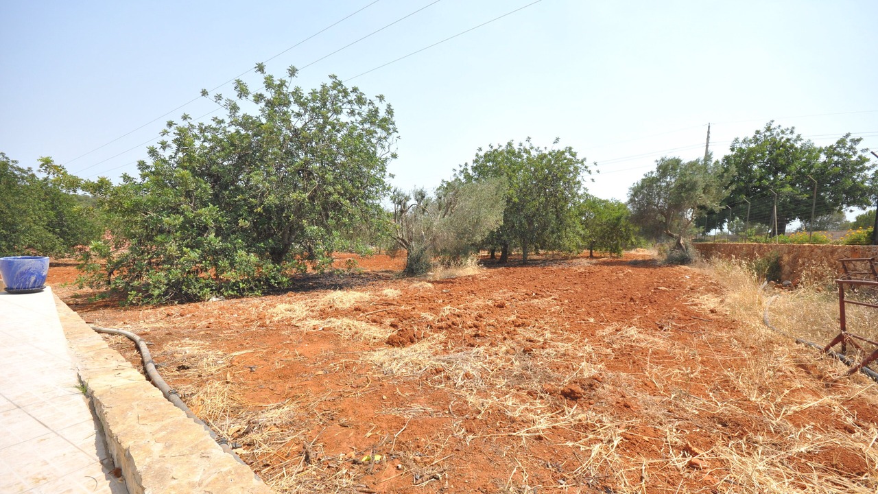 Photo of Outdoor in Vilamoura