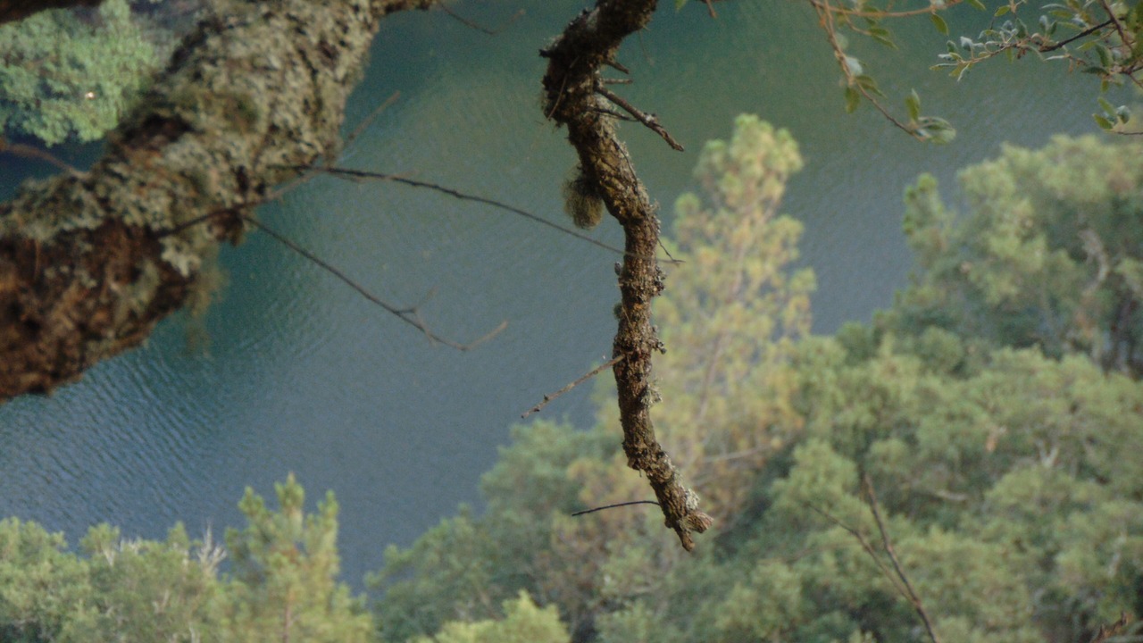 Photo of Outdoor in Pedrogao Grande