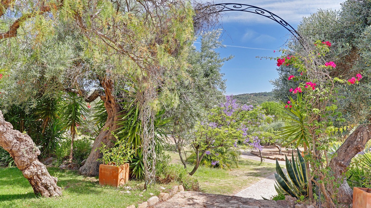 Photo of Outdoor in Sao Bras de Alportel