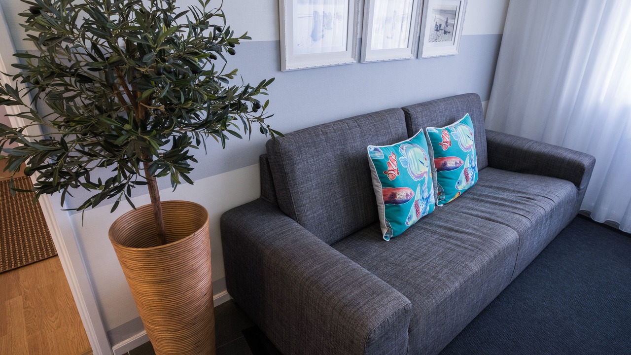 Photo of Livingroom in Nazare