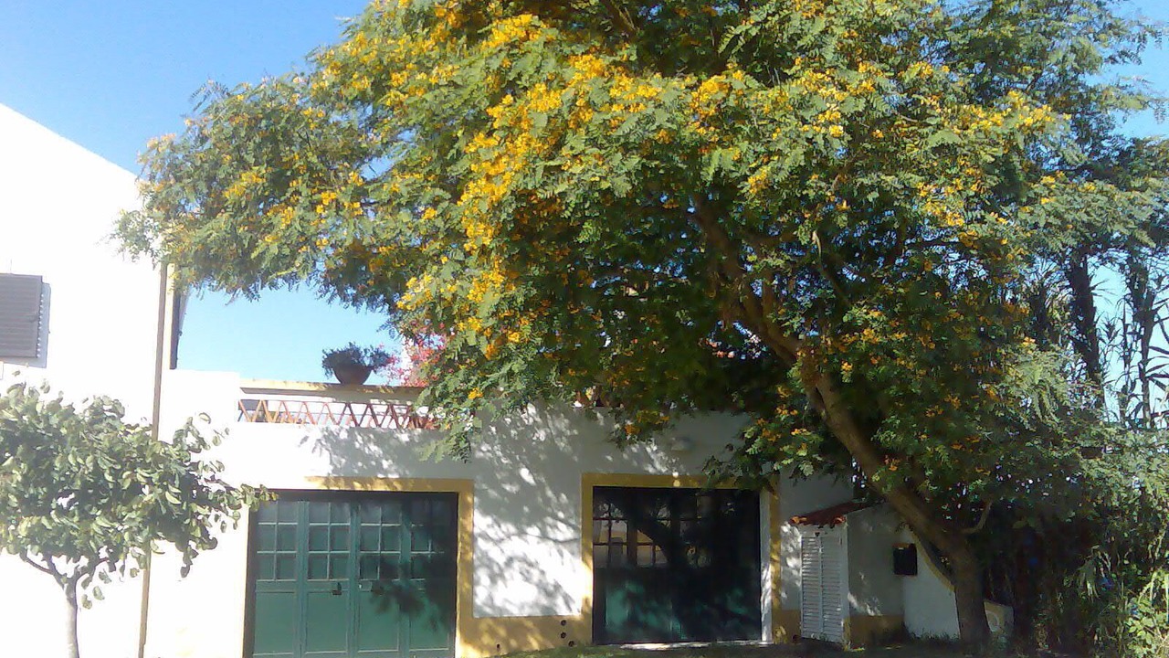 Photo of Outdoor in Vila Nova de Milfontes