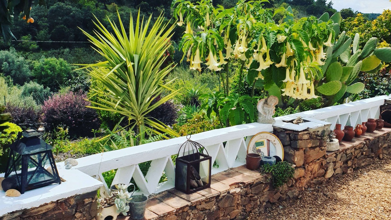 Photo of Outdoor in Fonte do Bispo