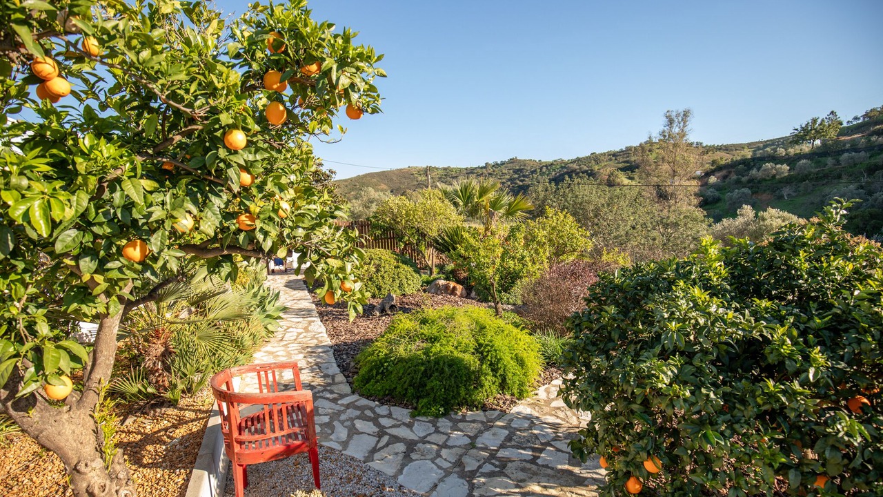 Photo of Patio Balcony in Fonte do Bispo