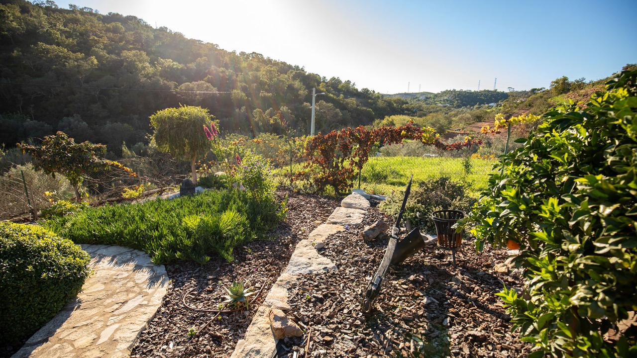 Photo of Outdoor in Fonte do Bispo