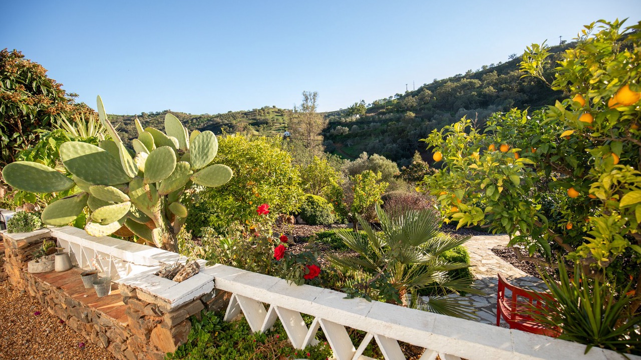 Photo of Outdoor in Fonte do Bispo