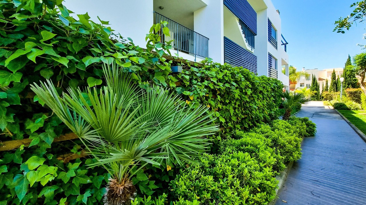Photo of Outdoor in Vilamoura
