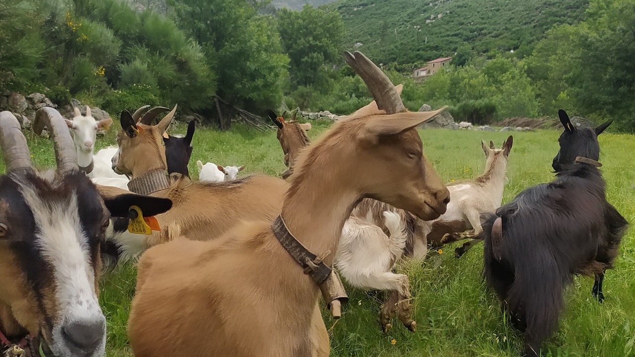Photo of Outdoor in Covilha