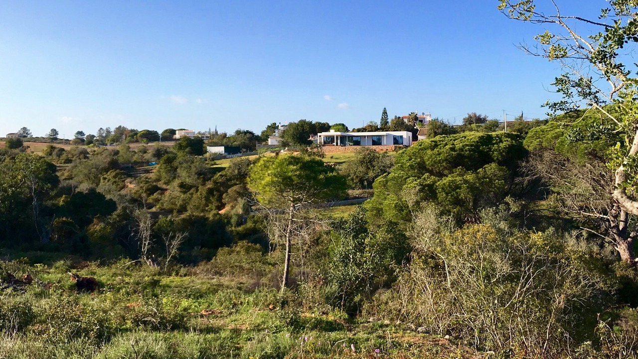 Photo of Others in Lagoa e Carvoeiro