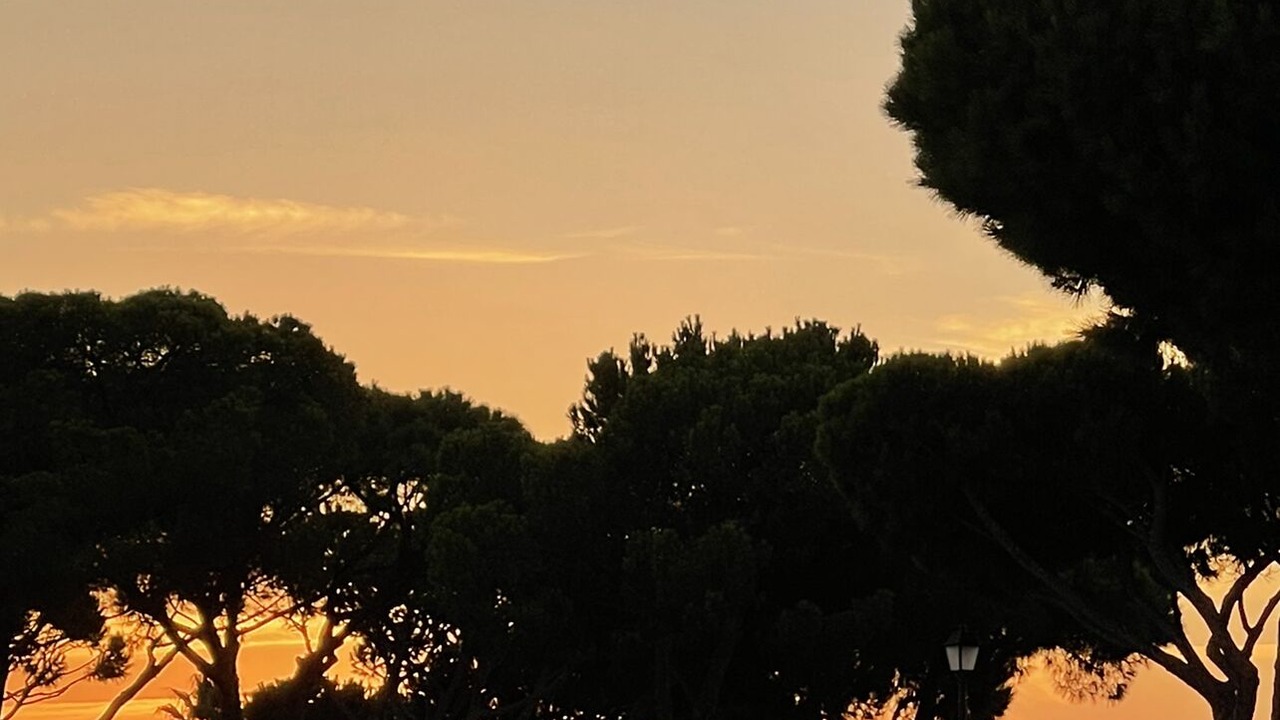 Photo of Others in Quinta do Lago