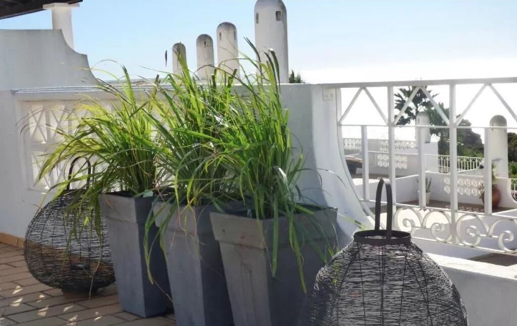 Photo of Patio Balcony in Lagoa