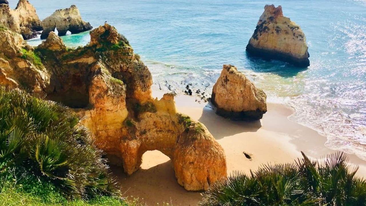Photo of Others in Prainha