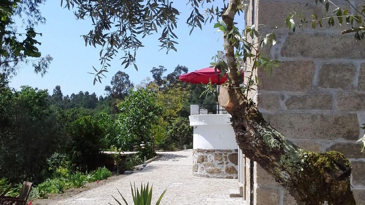Photo of Outdoor in Tondela