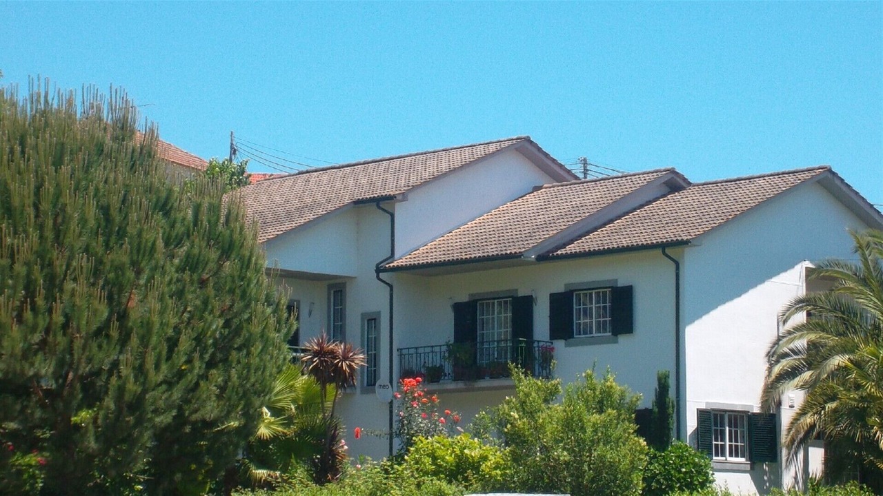 Photo of Others in Sao Pedro do Sul