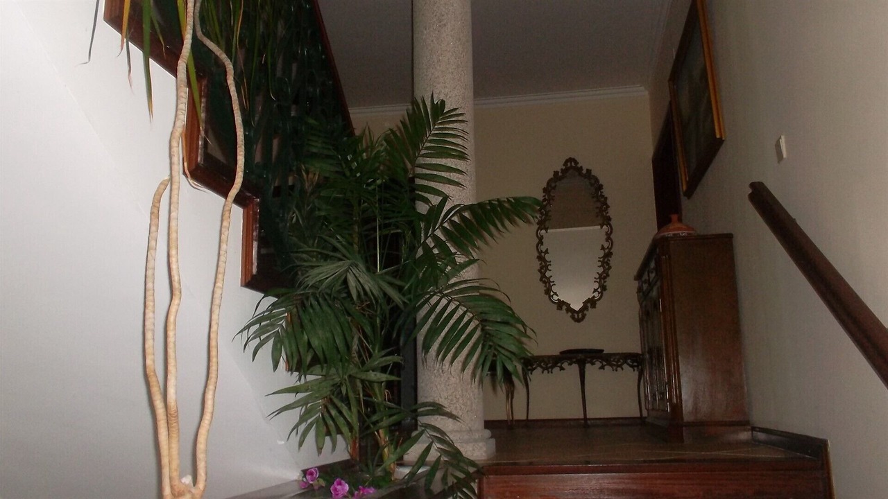 Photo of Others in Sao Pedro do Sul
