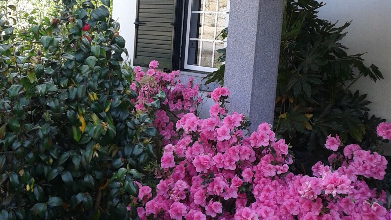 Photo of Outdoor in Sao Pedro do Sul