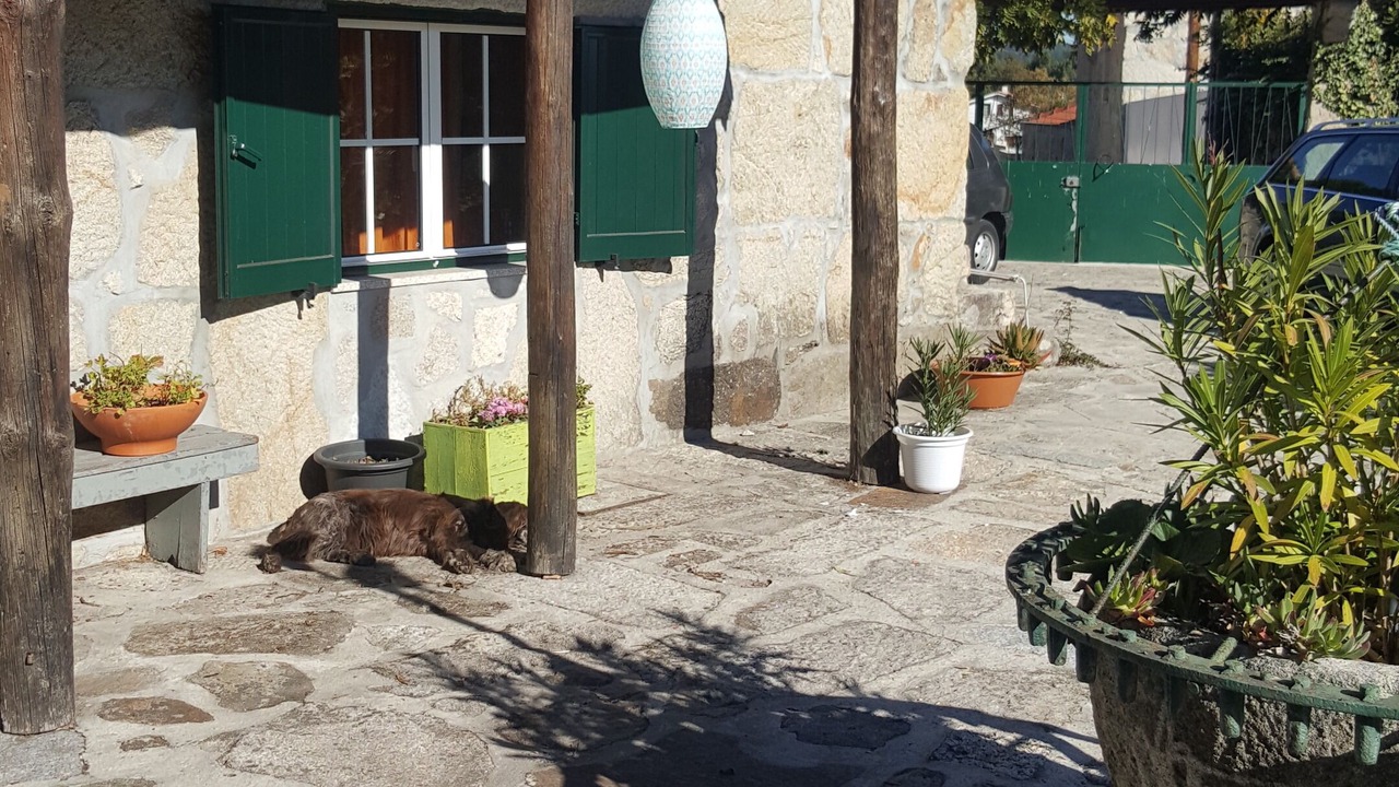 Photo of Patio Balcony in Sao Pedro do Sul