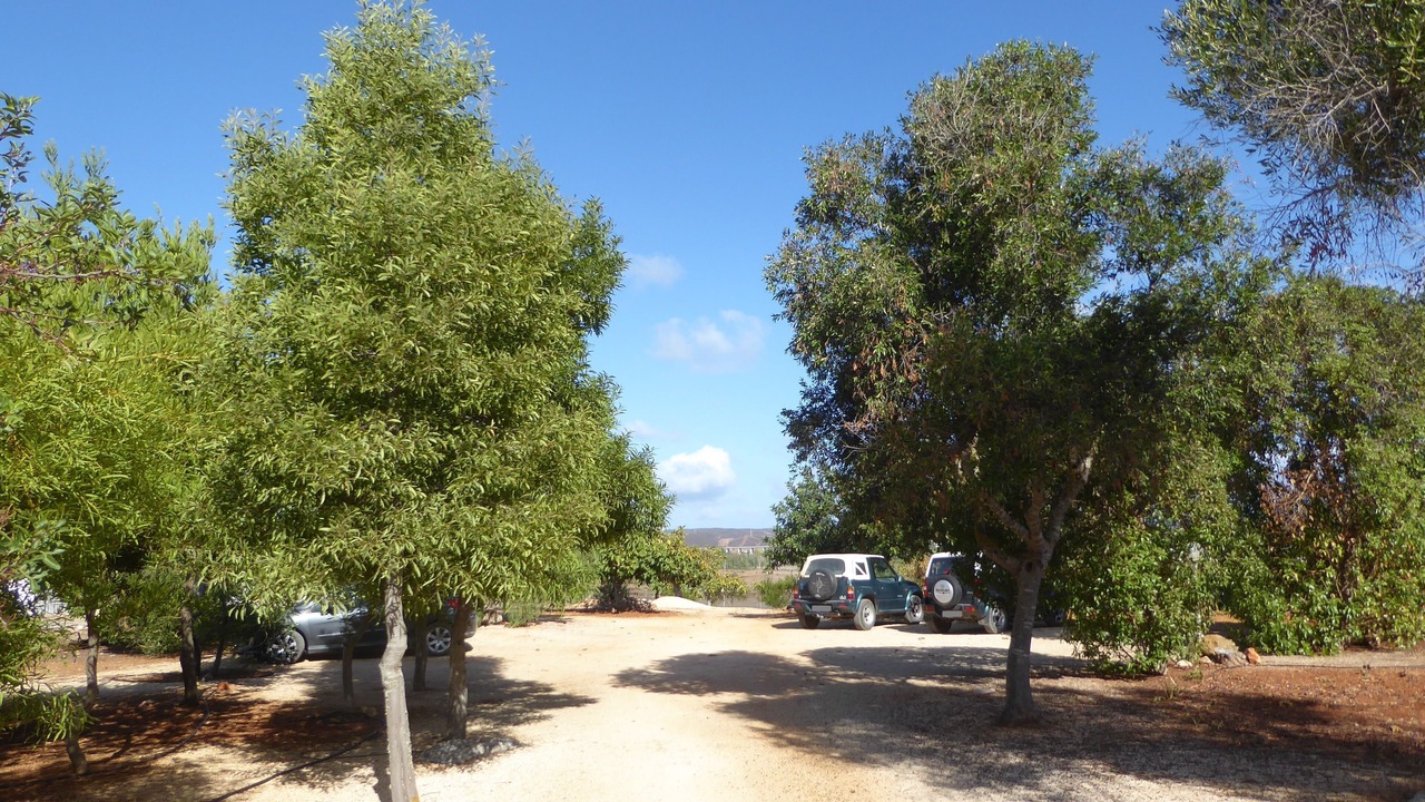 Photo of Others in Vale da Lama