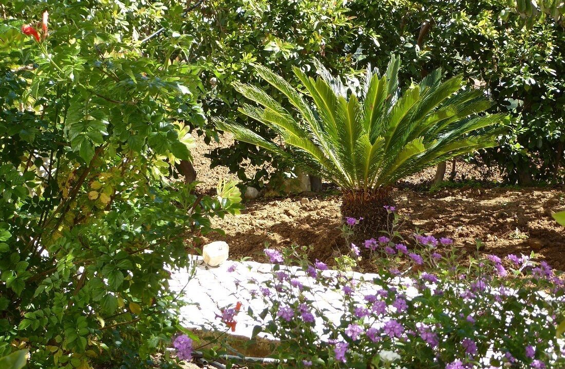 Photo of Outdoor in Vale da Lama