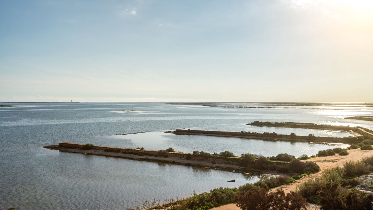 Photo of Others in Olhao