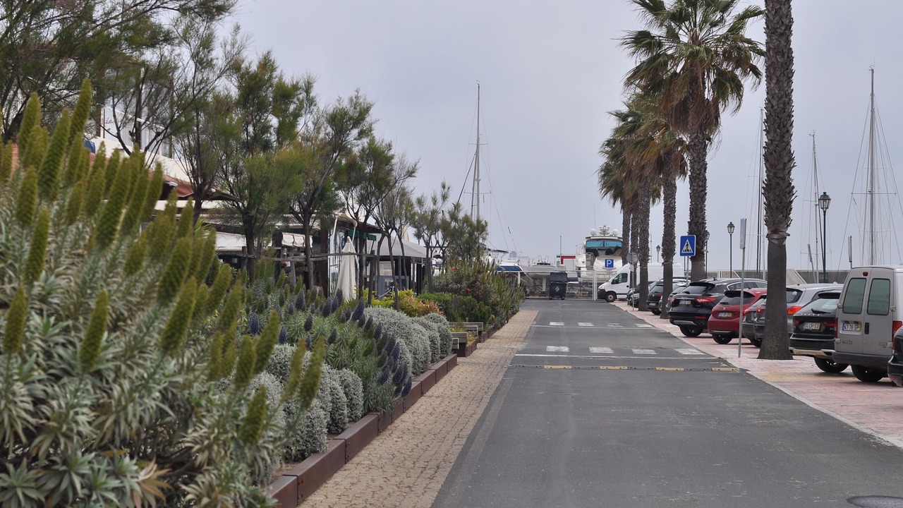 Photo of Others in Cascais