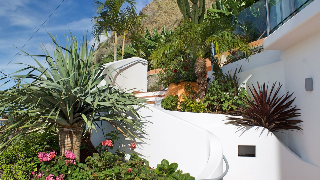 Photo of Outdoor in Arco da Calheta