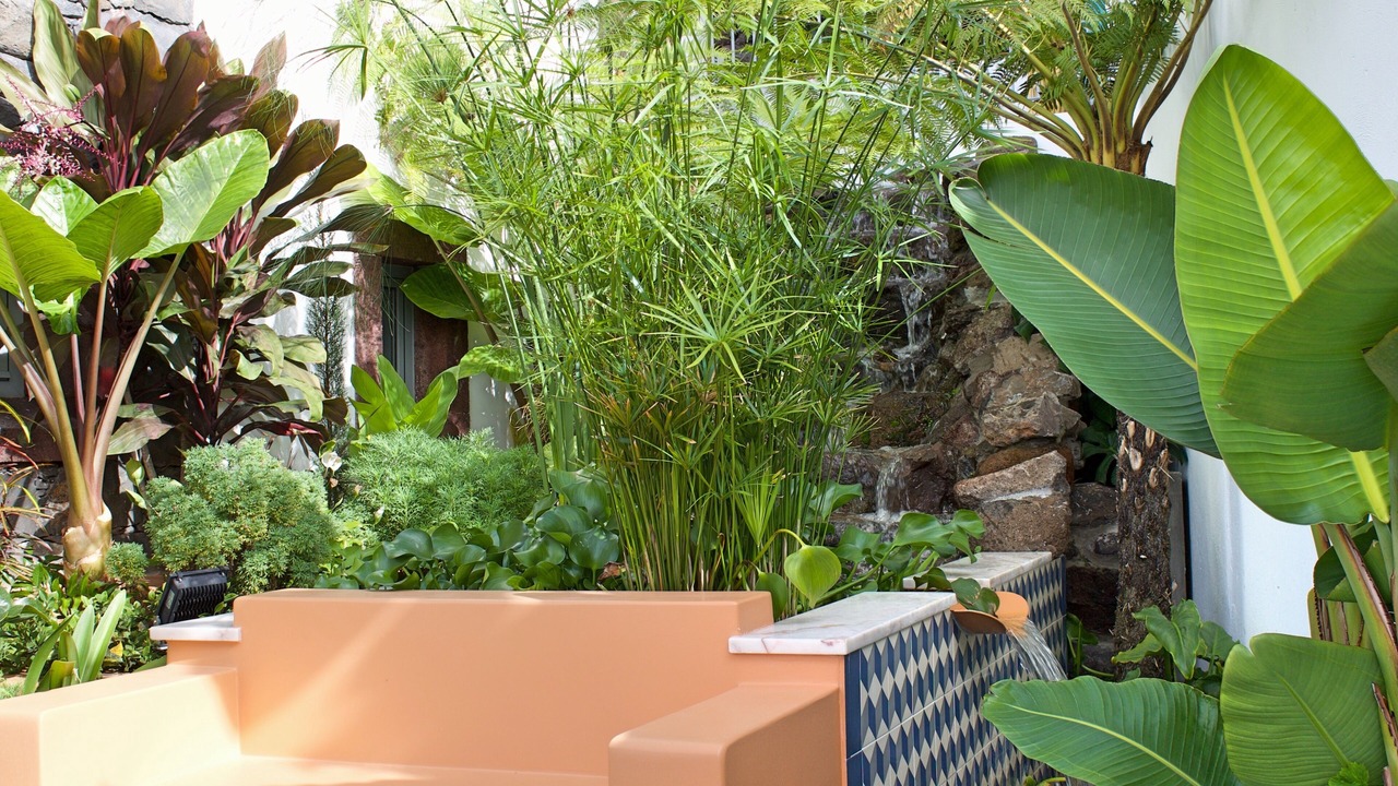 Photo of Outdoor in Arco da Calheta
