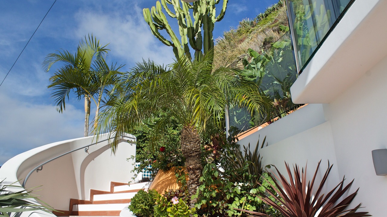 Photo of Outdoor in Arco da Calheta