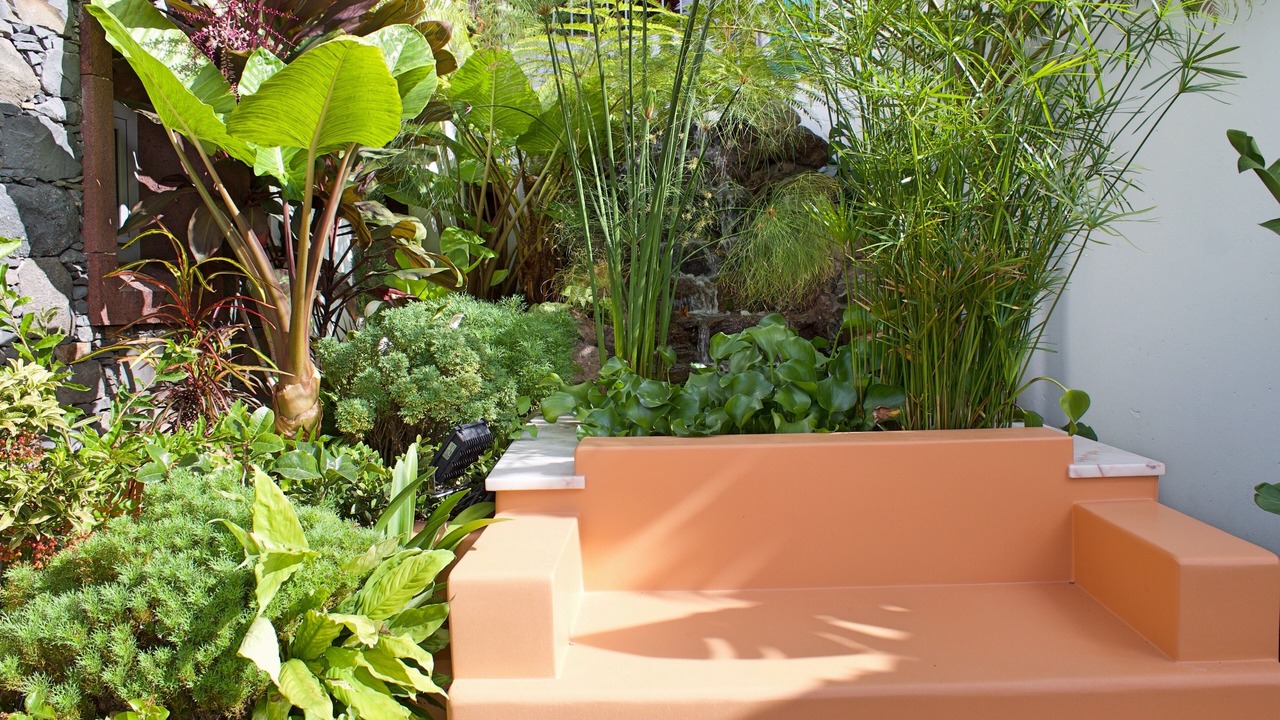 Photo of Outdoor in Arco da Calheta