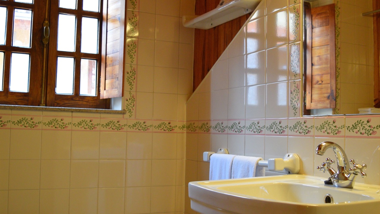 Photo of Bathroom in Seia