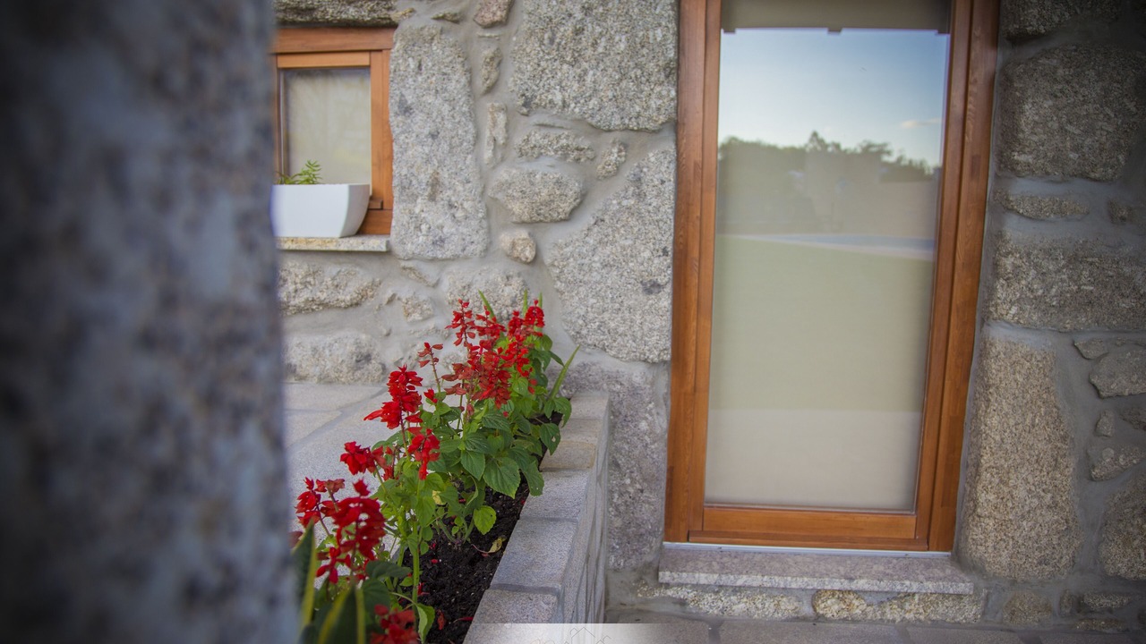 Photo of Outdoor in Bico