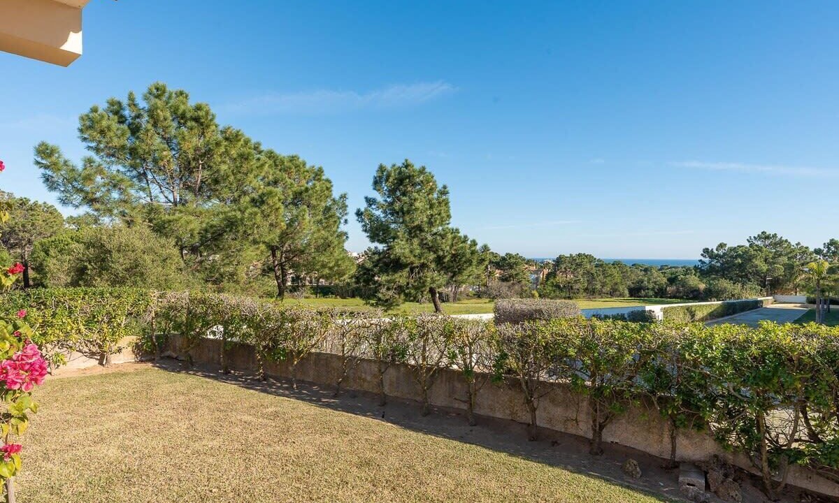 Photo of Outdoor in Sesmarias