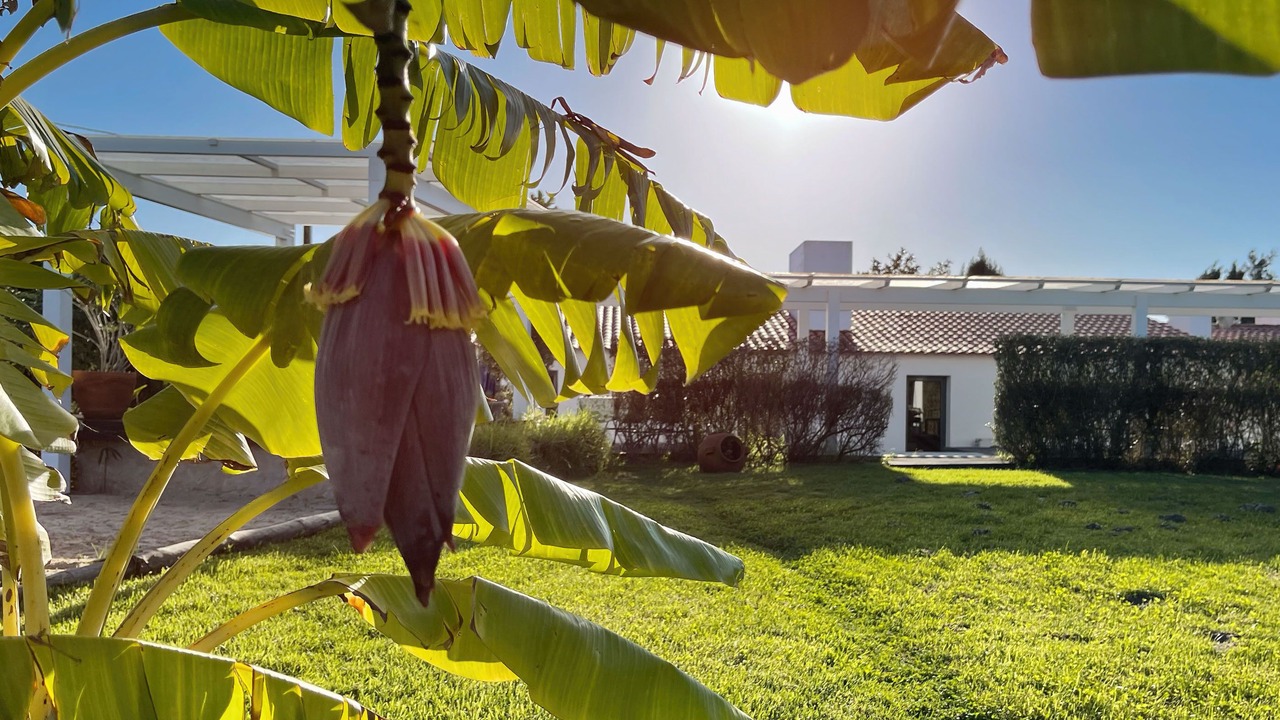 Photo of Outdoor in Sao Teotonio