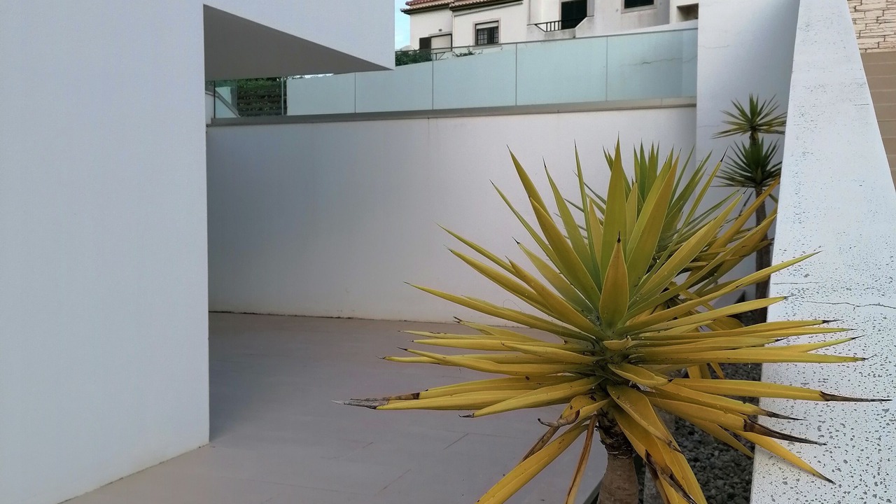 Photo of Others in Areia Branca