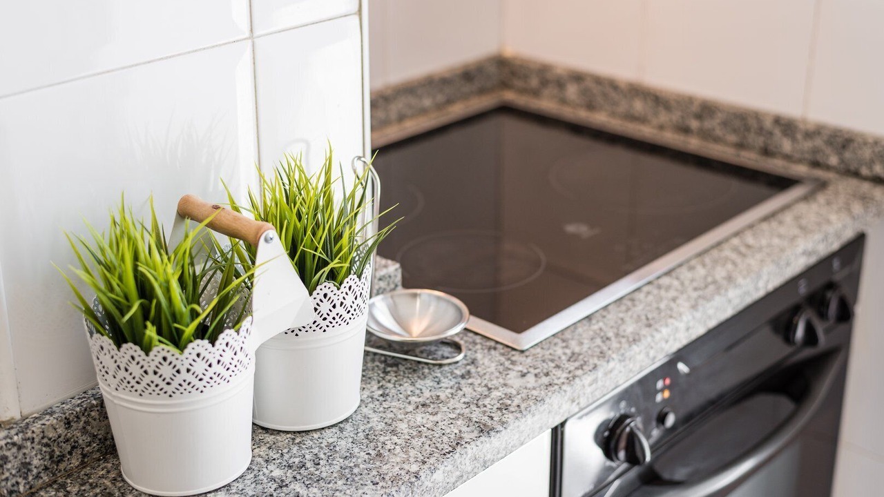 Photo of Kitchen in Cedofeita