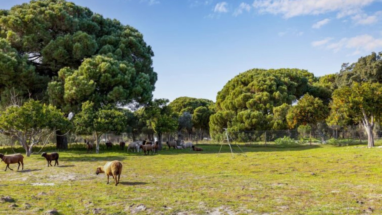 Photo of Outdoor in Sao Martinho