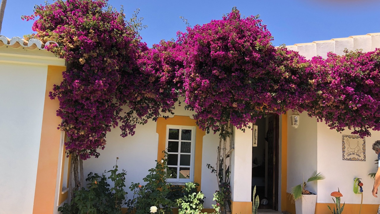 Photo of Outdoor in Lagoa e Carvoeiro