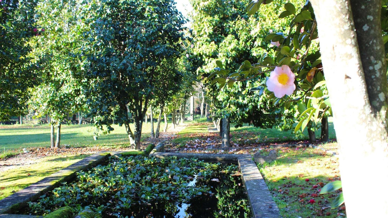 Photo of Outdoor in Santa Comba