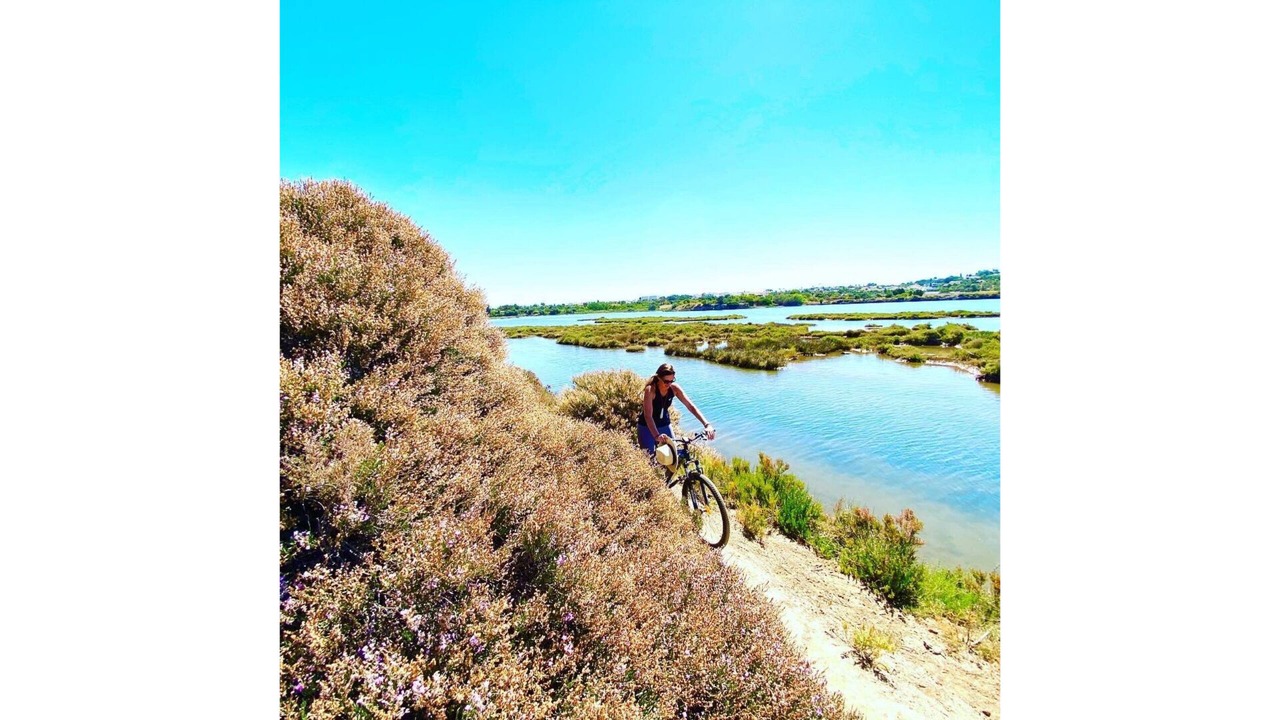 Photo of Others in Penina