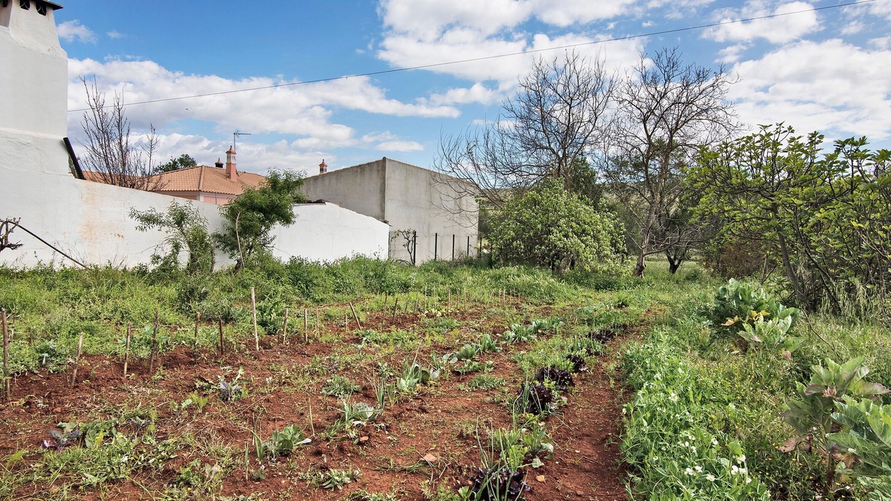 Photo of Outdoor in Loule