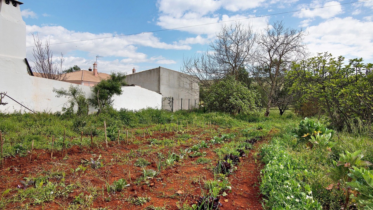Photo of Outdoor in Loule