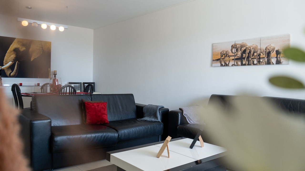 Photo of Livingroom in Canico