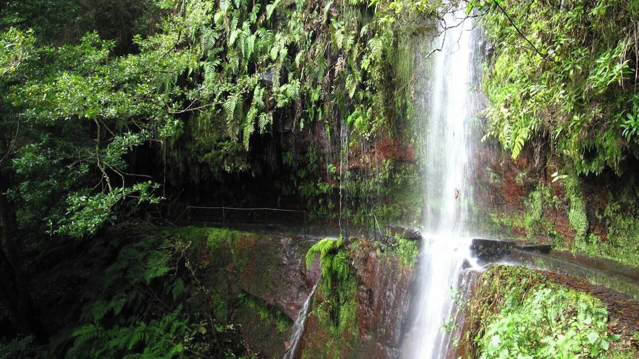 Photo of Others in Sao Jorge