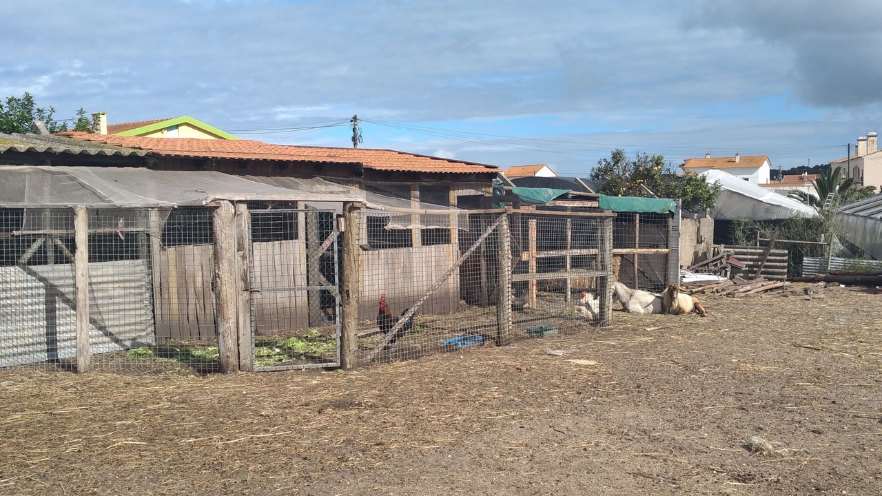 Photo of Outdoor in Torres Vedras