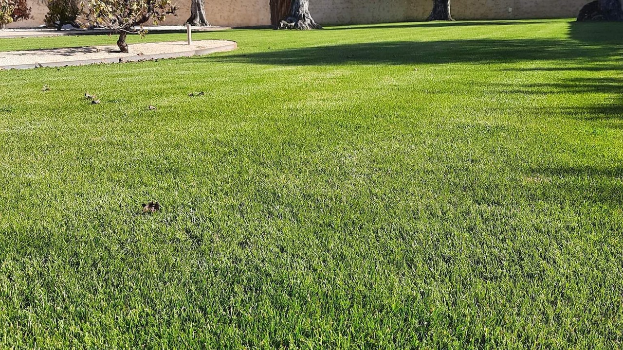 Photo of Outdoor in Ourem