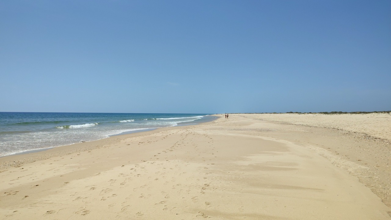 Photo of Others in Tavira