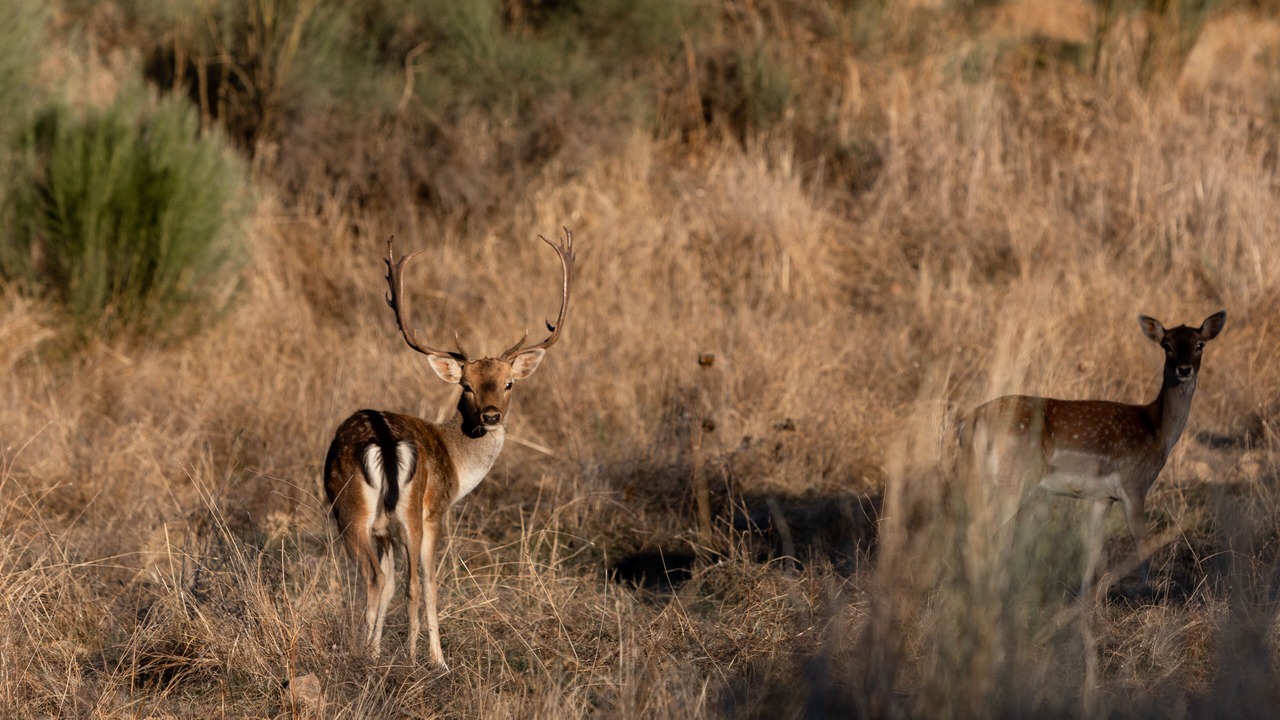 Photo of Outdoor in Salvaterra do Extremo