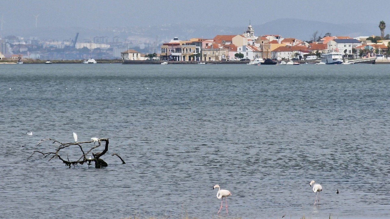 Photo of Outdoor in Seixal